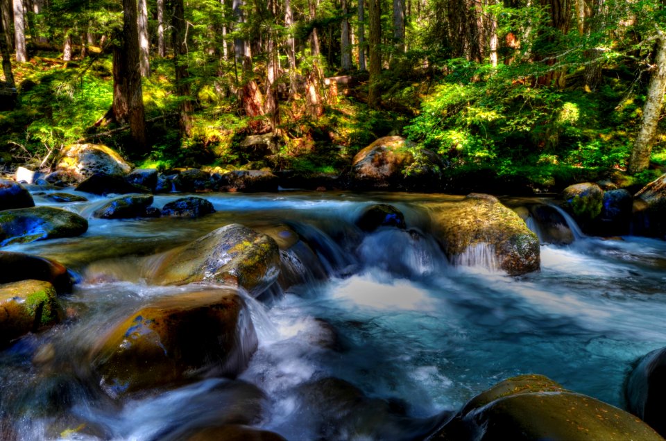 Dungeness River, Olympic National Forest