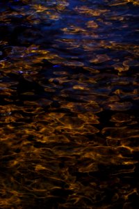gold night water texture 2, Las Vegas photo