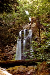 Umpqua NF - Waterfall c1980 photo