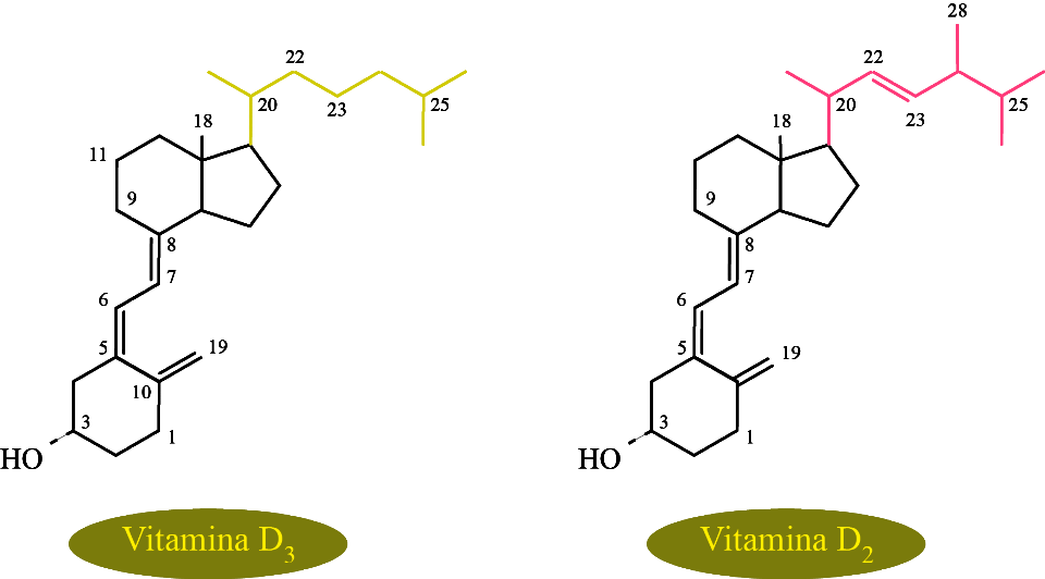 Estructuras de las vitaminas D3 y D2