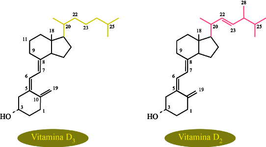 Estructuras de las vitaminas D3 y D2