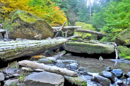 Obstacle on the way to Valhalla, Willamette National Forest photo