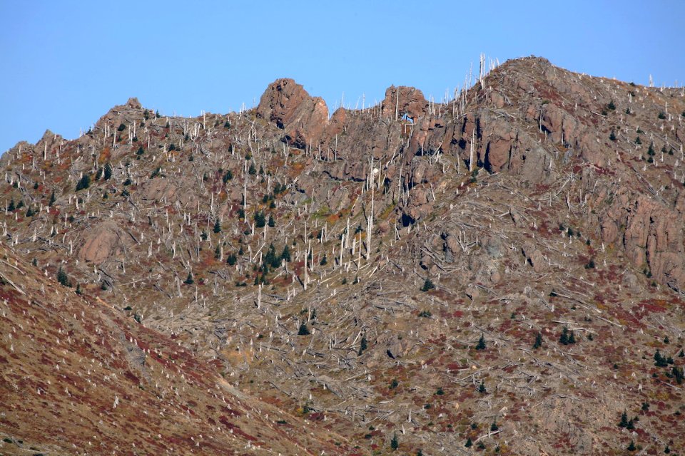 067A IMG 2570 resize