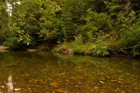 Shoals on the Winchuck River, Rogue River Siskiyou National Forest photo