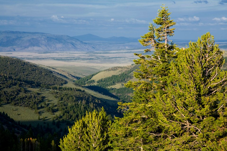 View from Twelve Mile Butte-Fremont Winema
