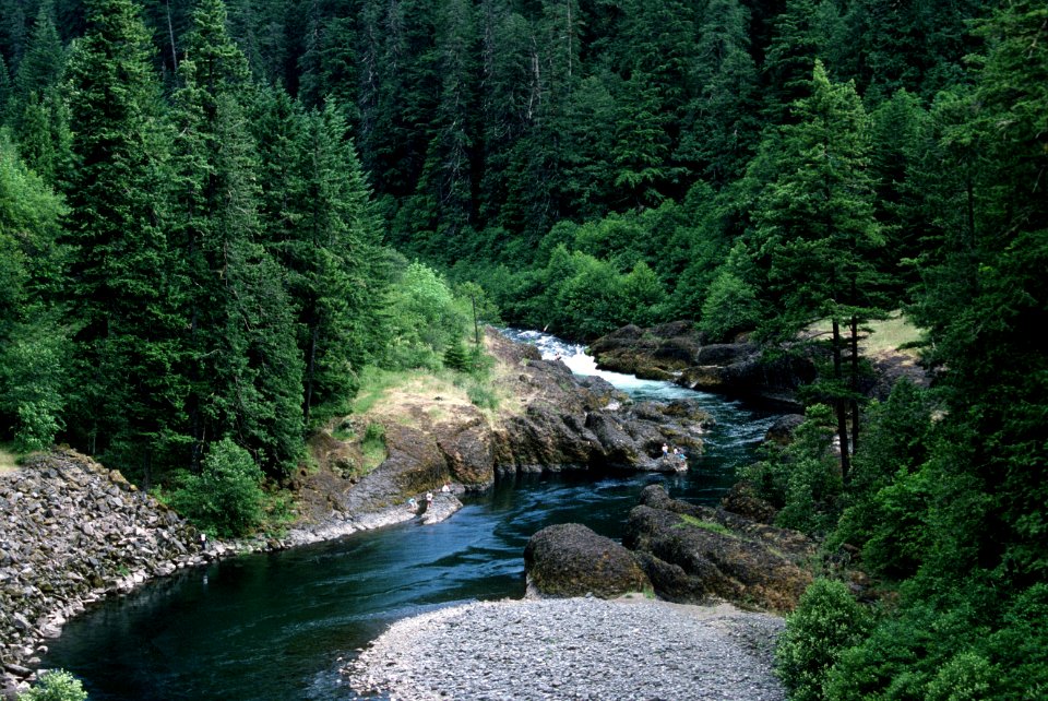Recreation Clackamas River fishing at the Narrows on Mt. Hood National Forest
