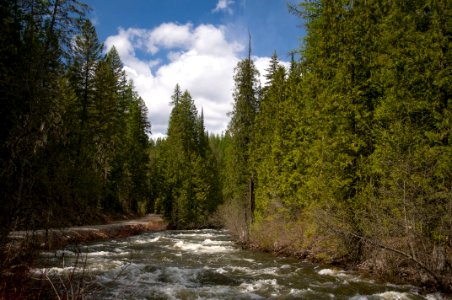 The Pacific Northwest Trail along Sheep Creek photo
