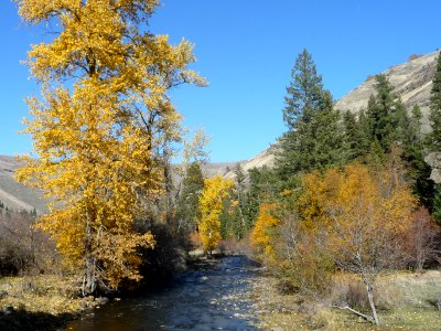 Fall colors, stream and hills, Wallowa-Whitman National Forest