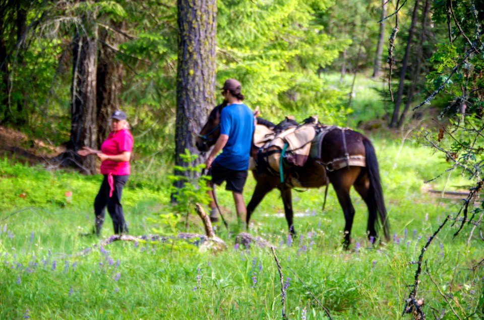 Wilderness Stewardship Skills Training at Mt Adams Ranger District-190