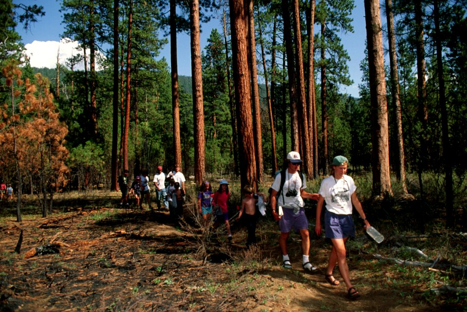 Deschutes National Forest, OMSI field trip, Metolius Basin.jpg photo