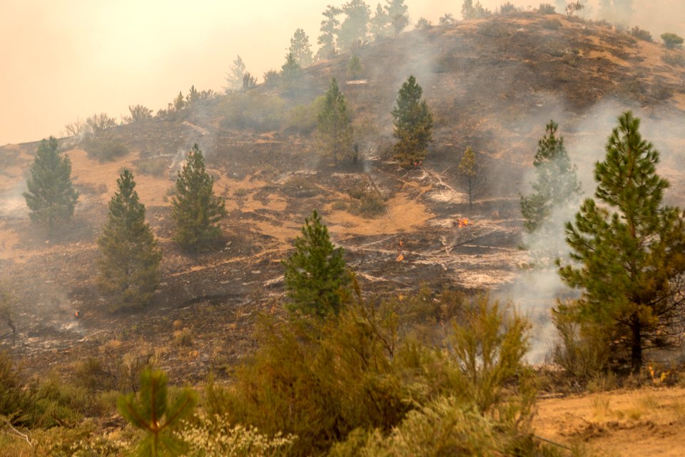 Firefighters conducting burnout operation