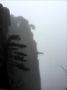 Huangshan - China中國 黃山