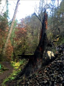 20181205 CRGNSA LarchMtn Wahkeena loop by Alexa Pengelly