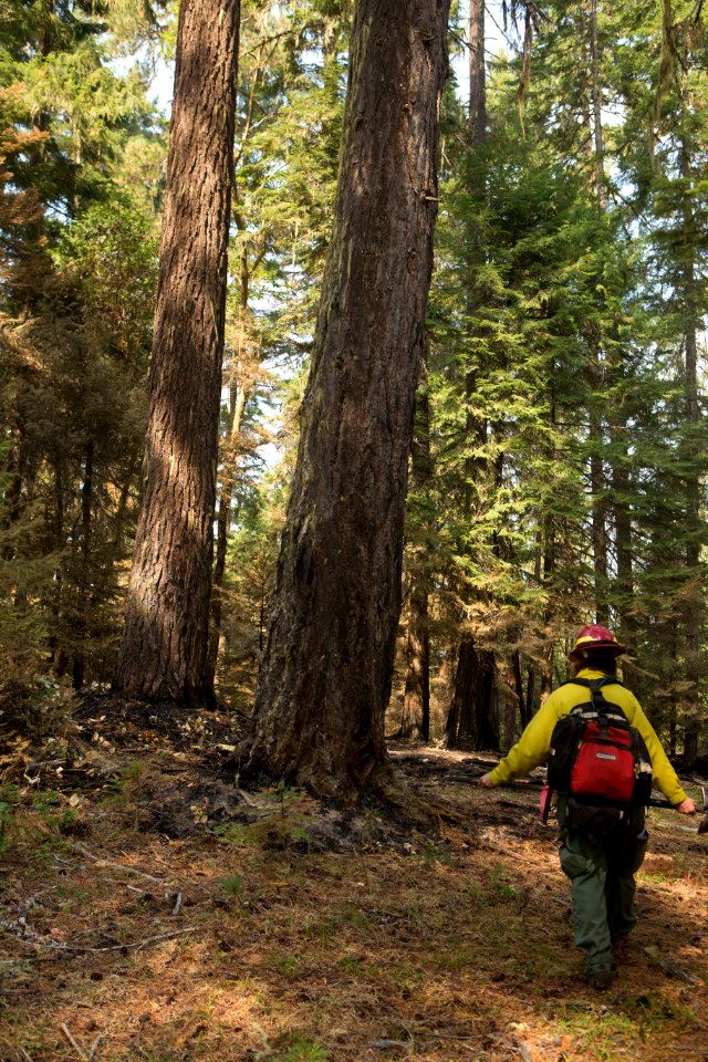 Burned Area Emergency Response, Umpqua National Forest, 2017