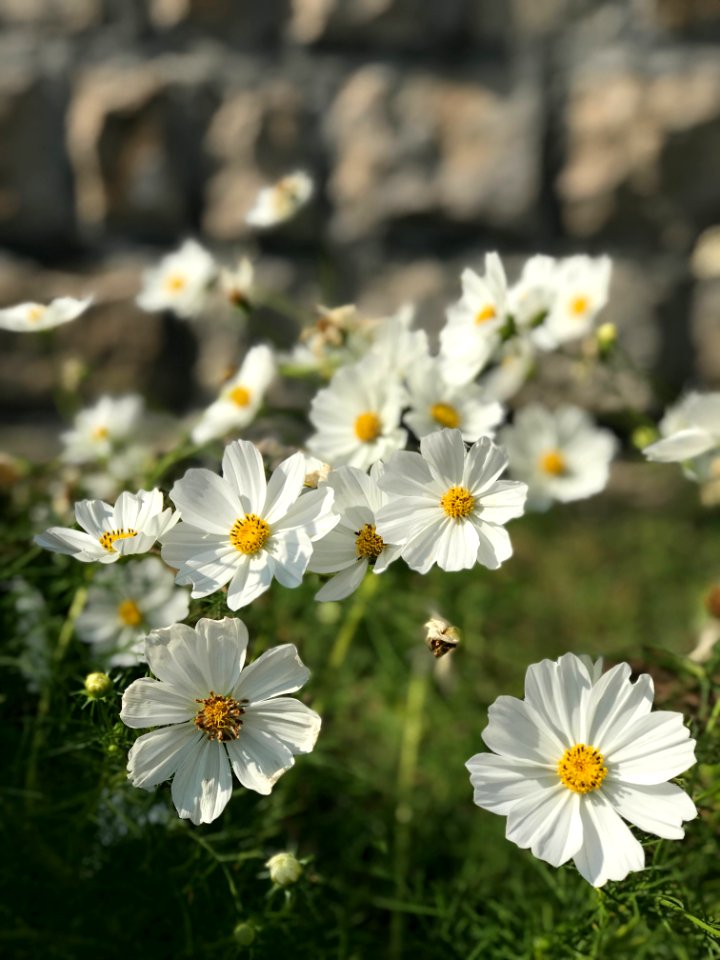 A comforting place. Montenegro. 布德瓦 蒙特內哥羅