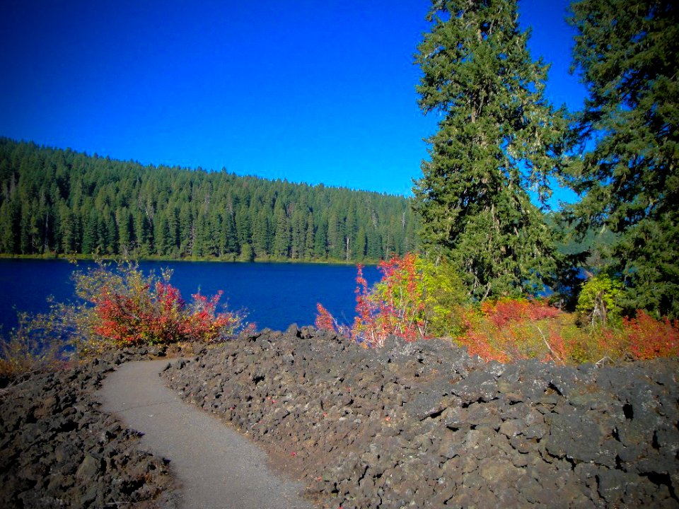 Fall Color along Clear Lake Trail, Willamette National Forest