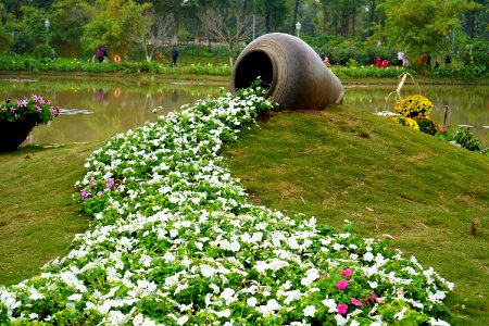 Dòng chảy hoa.