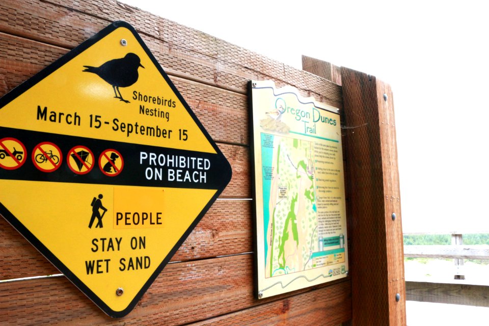 Plover Nesting Sign, Siuslaw National Forest