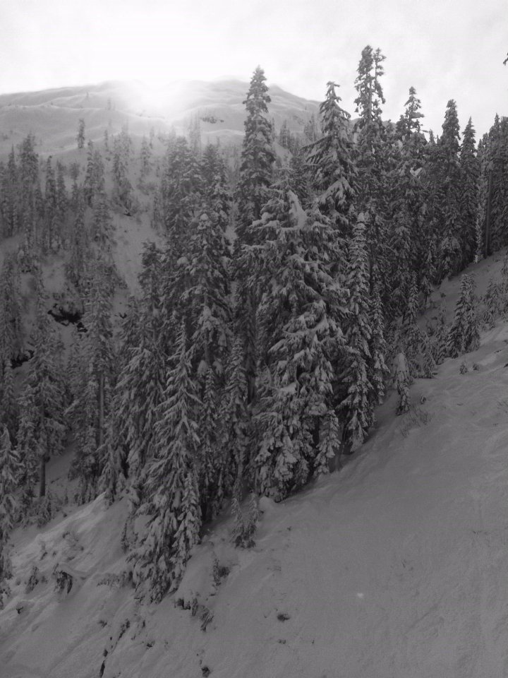 Winter Scenery above Heather Meadows, Mt Baker Snoqualmie National Forest