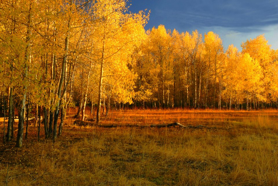  Ochoco National Forest Upper Crooked River