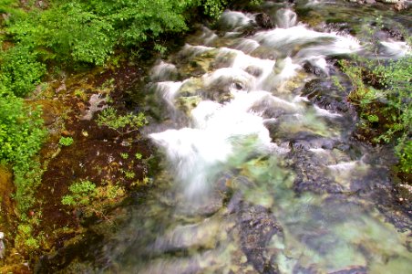 Rapids, Upper North Fork Santiam River, Willamette National Forest photo