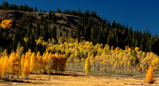 Warner Canyon in Fall Panoramic on the Fremont-Winema National Forest
