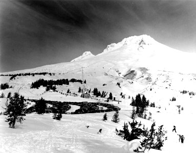 Mt. Hood from Timberline Area, OR