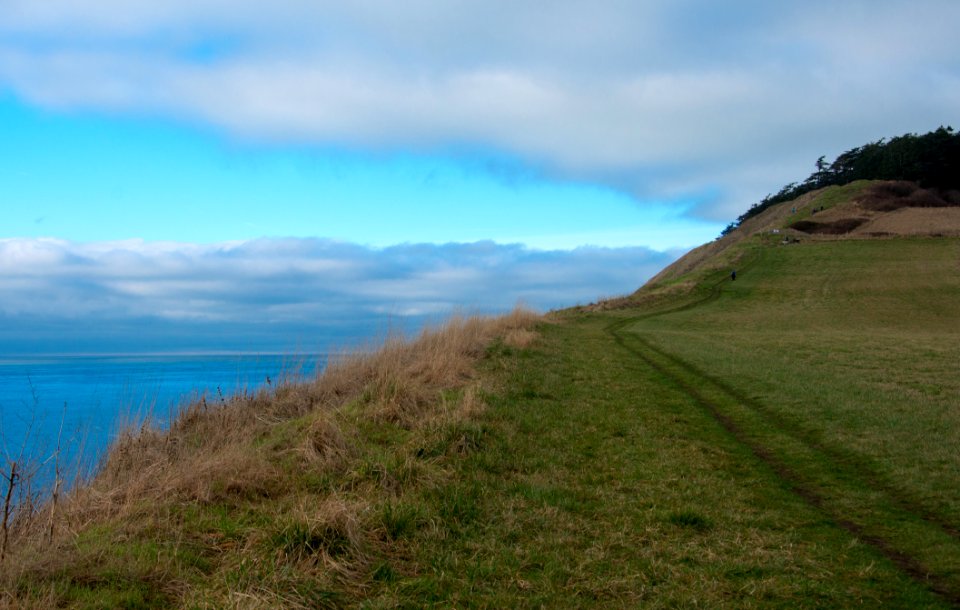 The Pacific Northwest Trail climbing the bluffs of Ebey's Landing on Whidbey Island