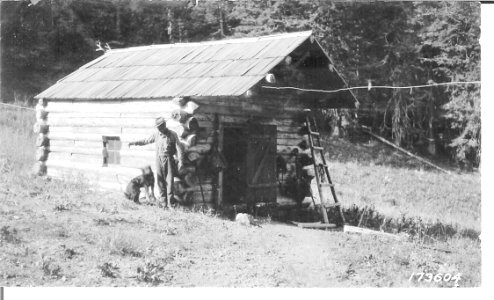 Serviceberry Ranger Station 1923 photo