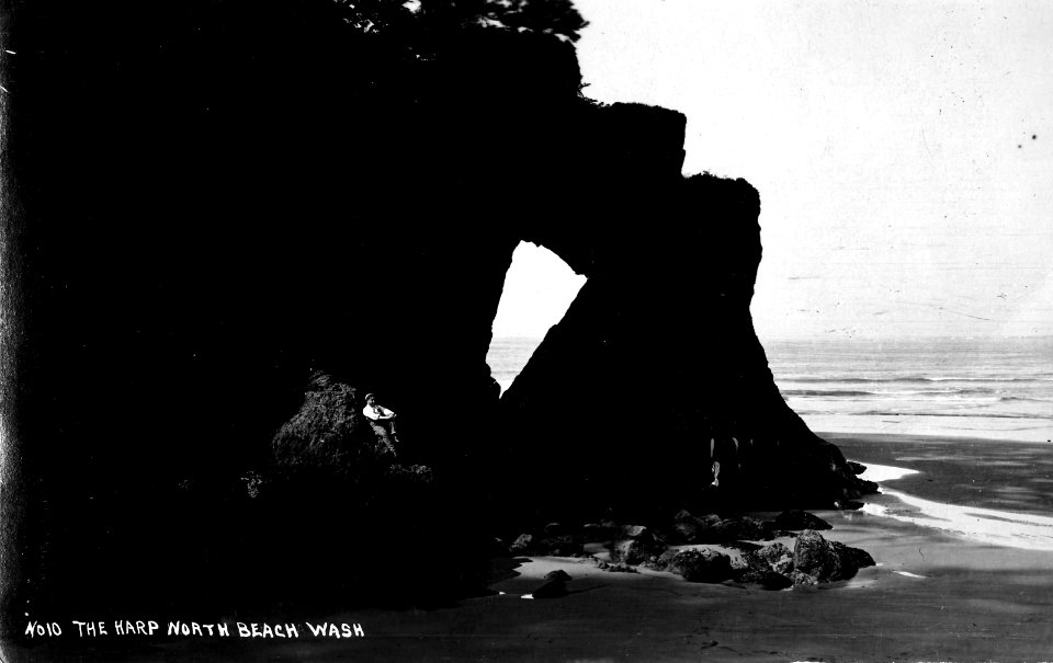 No 10 The Harp North Beach Wash