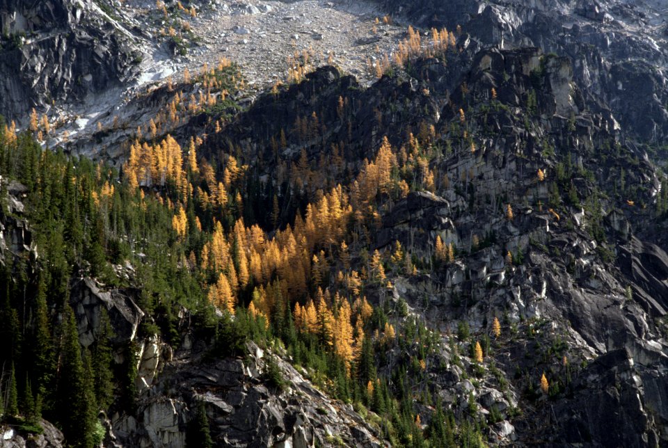 Alpine Lakes Wilderness, Okanogan-Wenatchee National Forest-4.jpg