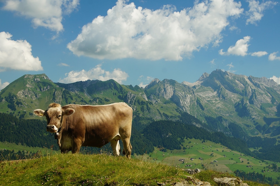 Mountain hiking nature vision