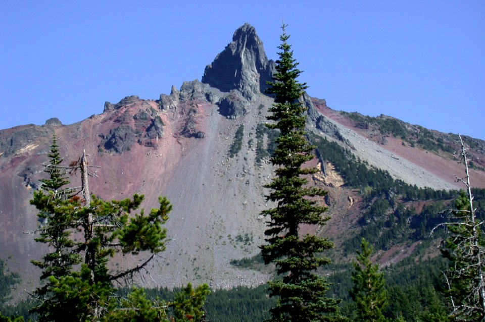 View of Mt Washington, Willamette National Forest