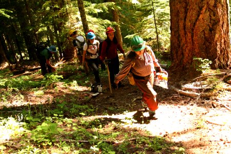Willamette National Forest - Youth Conservation Corps Workers on Willamette-102