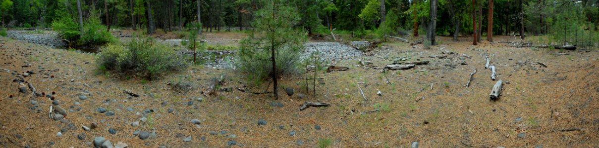 Deschutes National Forest, Whychus Creek panorama 14ABCD before.jpg photo
