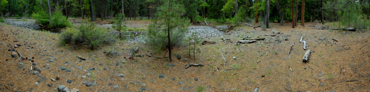 Deschutes National Forest, Whychus Creek panorama 14ABCD before.jpg