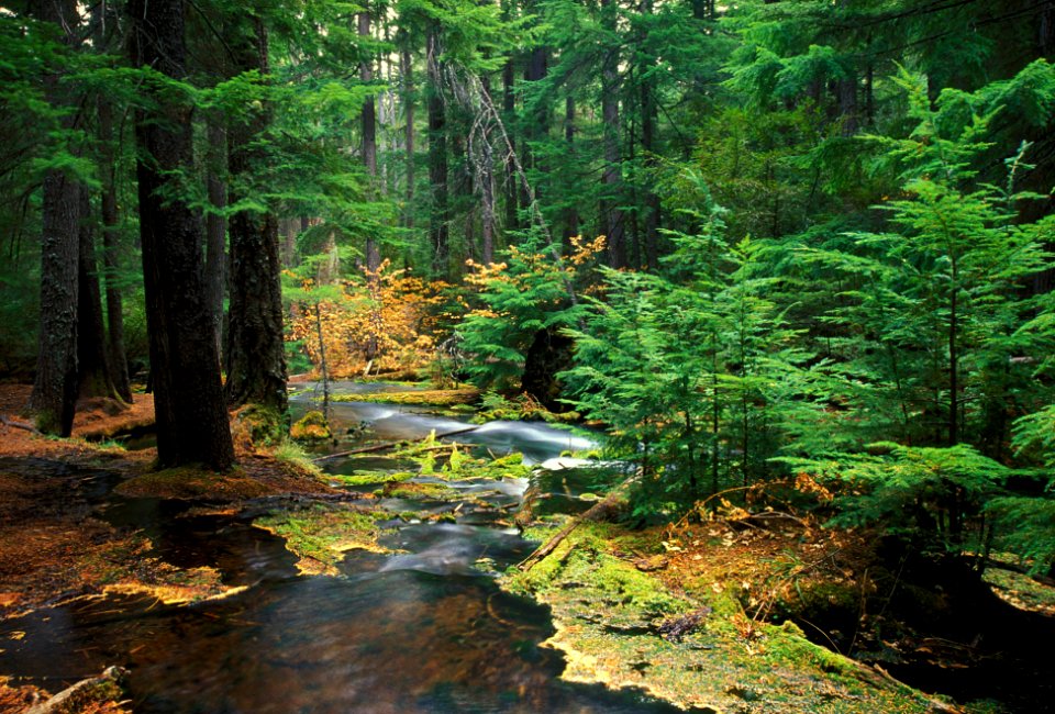 Deschutes National Forest Jack Creek