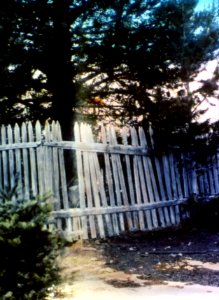 205946 Pioneer Cemetery at Summit Meadows, Mt Hood NF