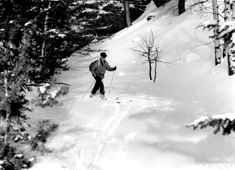 379063 Elk Survey on Showshoes, Malheur NF, OR 1939.JPG
