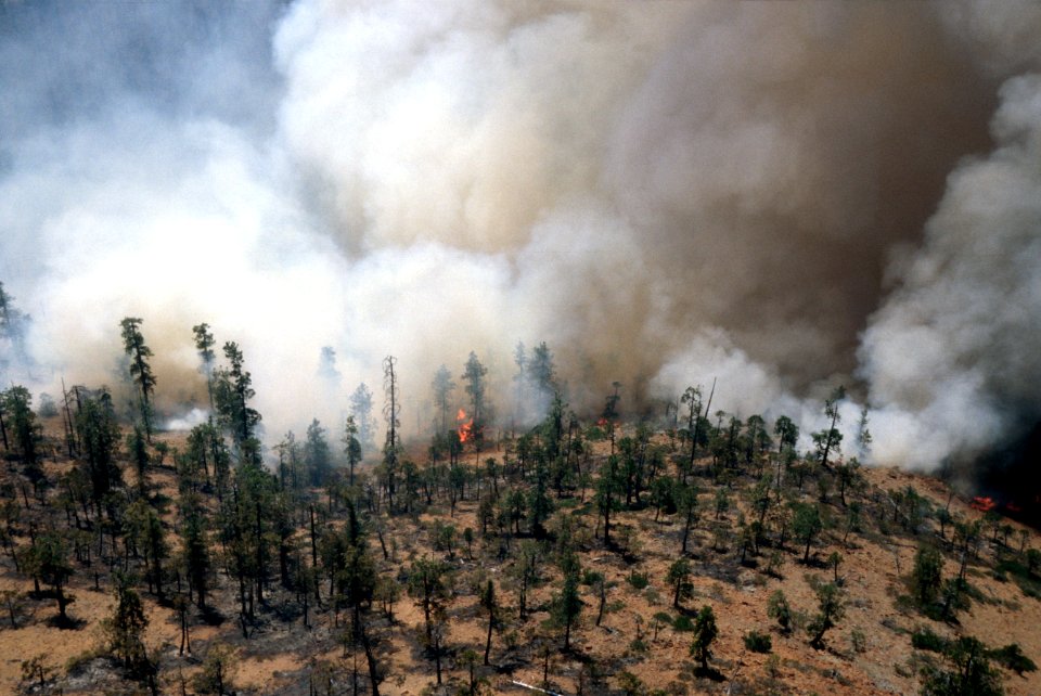 094 Rogue River-Siskiyou National Forest, Biscuit Fire