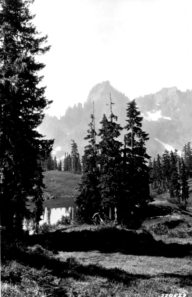 220529 McGravey Lake, Olympic NF, WA 1927