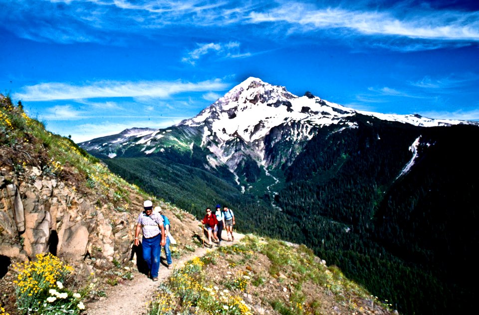 HIKING ON BALD MOUNTAIN TRAIL MT HOOD