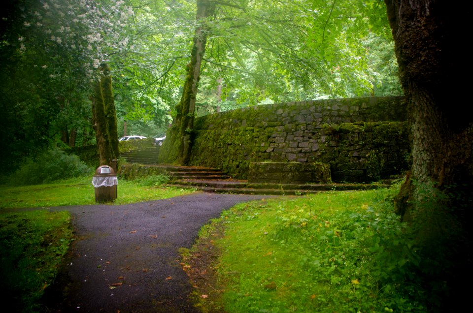 Path and Retaining Wall at Wahkeena Falls-Columbia River Gorge