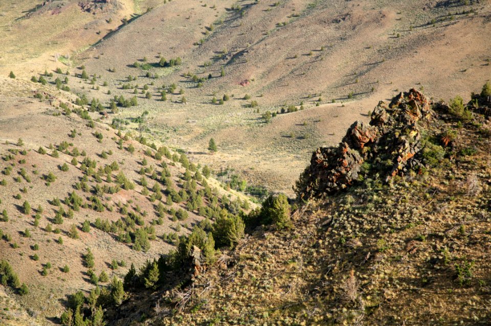 Juniper Thinning on the Chewaucan Watershed-Fremont Winema