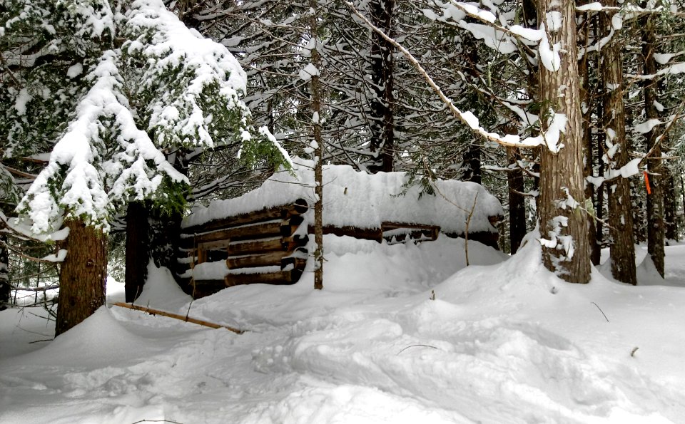 2019-Feb-deLeon-ColvilleNF-49DegNorth-snow-investigation-cabin photo