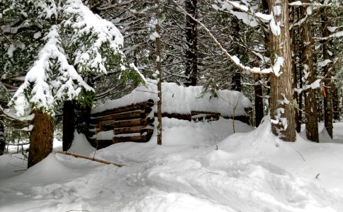 2019-Feb-deLeon-ColvilleNF-49DegNorth-snow-investigation-cabin