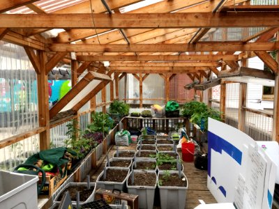 santropol roulant rooftop