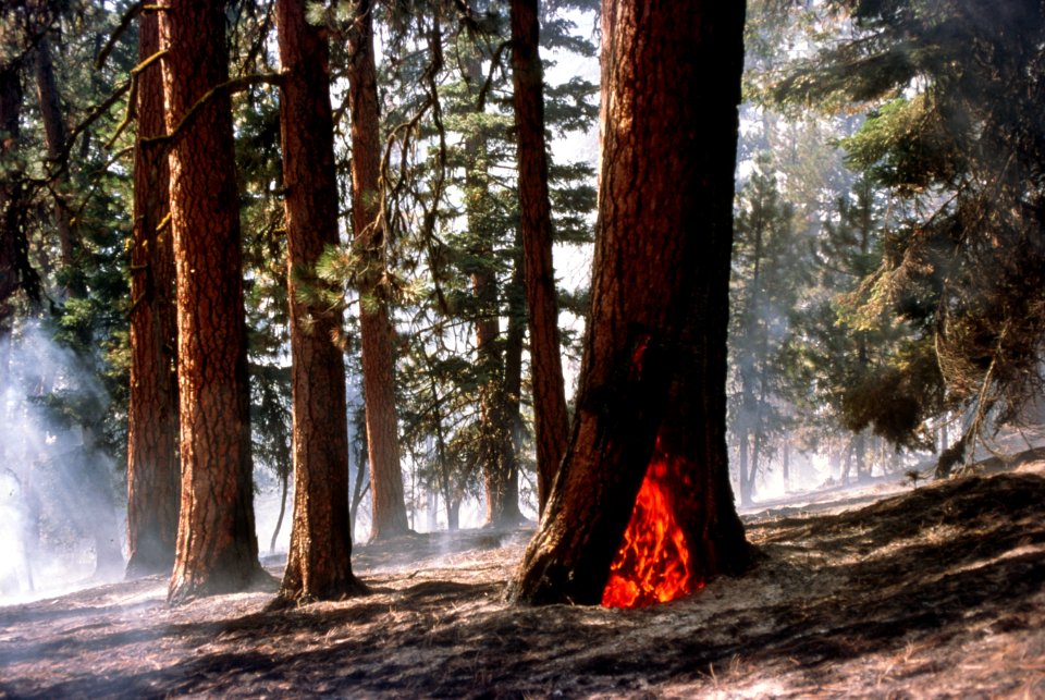 266 Ochoco National Forest, Mill Creek Fire