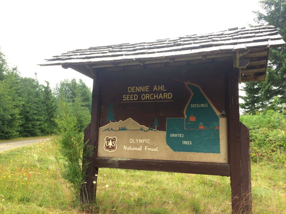 Denny Ahl Seed Orchard sign, Olympic National Forest