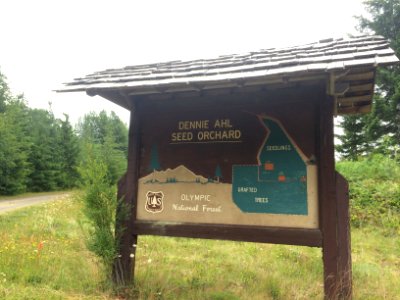 Denny Ahl Seed Orchard sign, Olympic National Forest